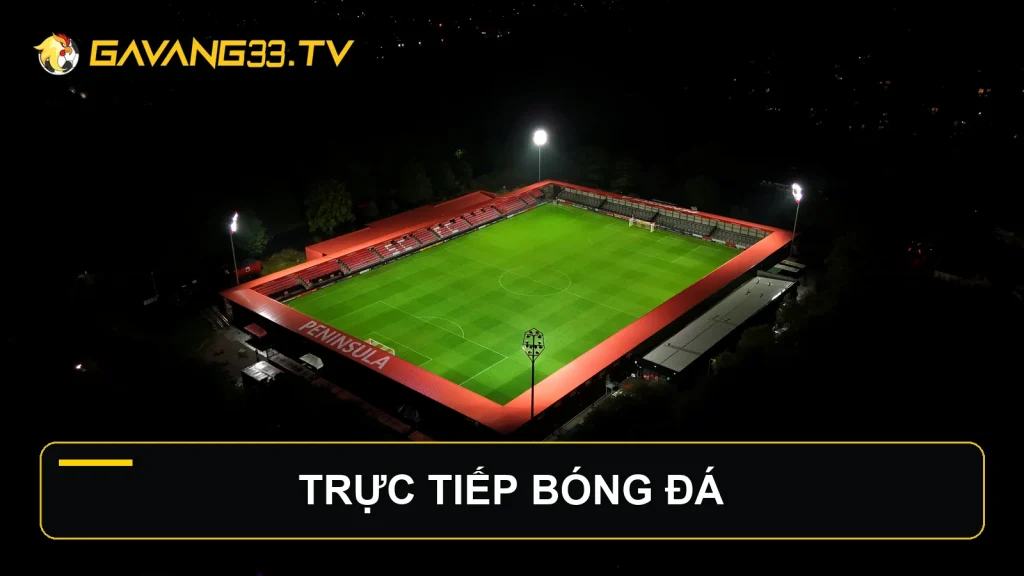Sân vận động ban đêm minh họa trang trực tiếp bóng đá