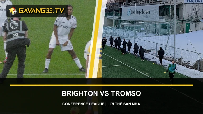 Tư liệu Brighton và Tromsø IL trước trận Conference League, có logo và tiêu đề bài nhận định
