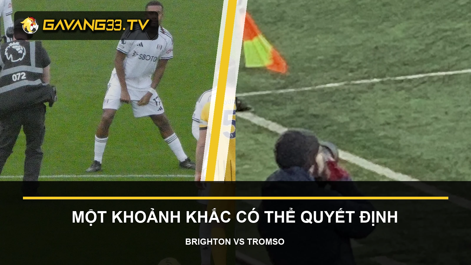 Tư liệu Brighton và Tromsø IL trước trận Conference League, có logo và tiêu đề bài nhận định