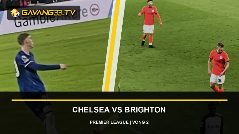 Ảnh tư liệu Chelsea và Brighton & Hove Albion trước trận Premier League