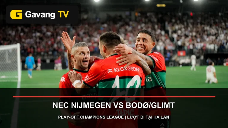 Cầu thủ NEC Nijmegen mừng bàn thắng trên sân nhà