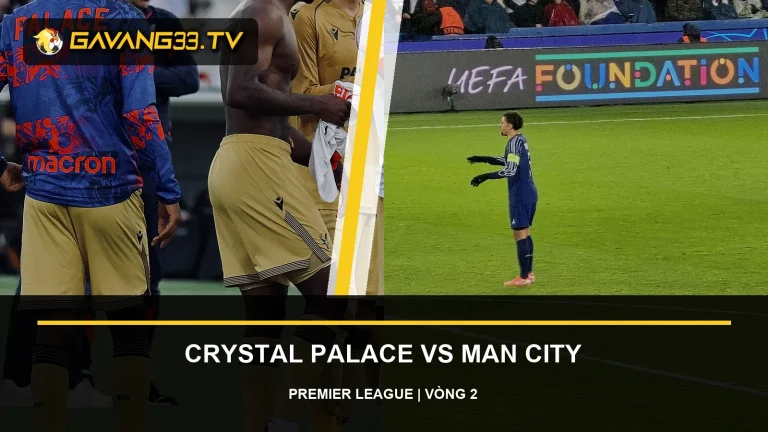 Ảnh tư liệu Crystal Palace và Manchester City trước trận Premier League