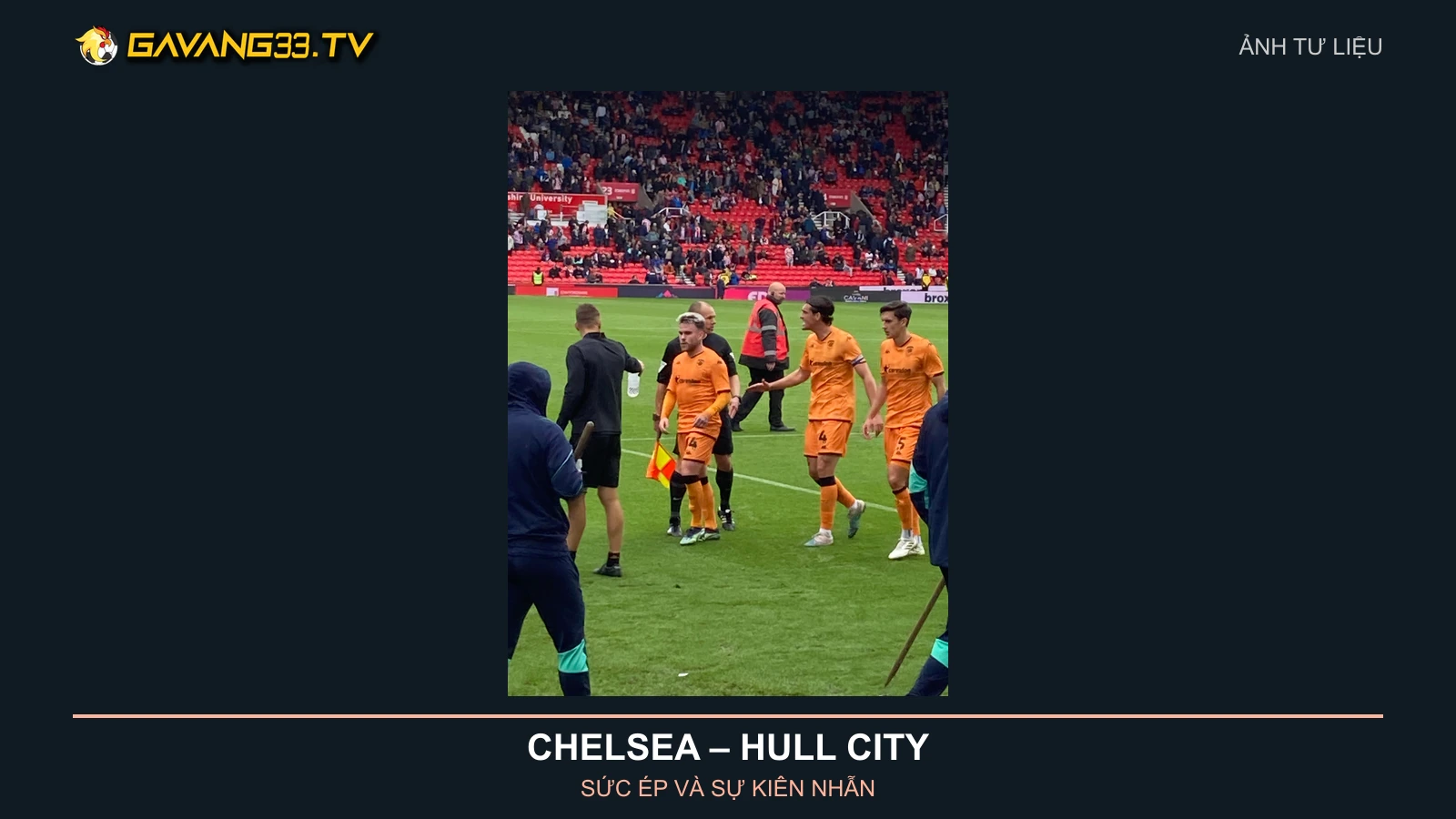 Ảnh tư liệu đội hình Hull City năm 2023